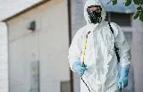 Heart of the Commonwealth Pest Control Solutions photo 7