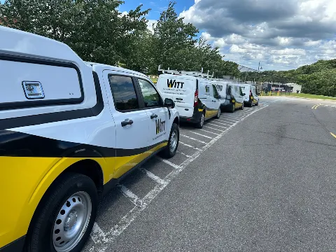 Witt Pest Management photo 1