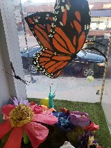 Rose Pest Solutions photo 6