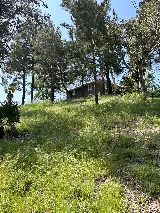 Cal Pacific Landscape | Landscaping Moreno Valley CA photo 2