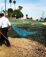 Excel Pest Management photo 6