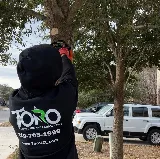 Toro Lawn Care & Landscaping, LLC photo 6