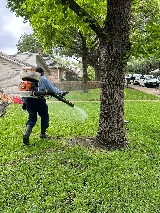 Sureguard Lawn & Pest photo 8