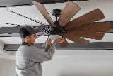 Dove Electric photo 5