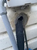 Standard Pest Control photo 2