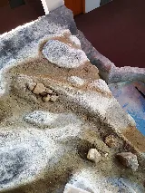 605 Painting photo 4