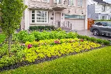 Green Apple Landscaping photo 5