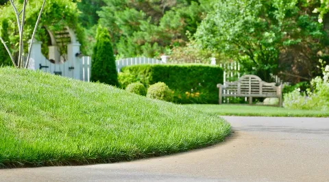 Acadia Landscape Co in Knoxville