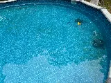 Clear Water Pools and Spas Inc photo 6