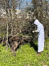 Cen-Tex Pest Control photo 7