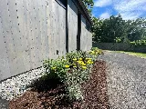 Dicot Landscape Studio photo 4