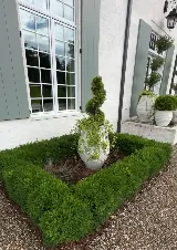 JML Landscape Management Inc photo 6
