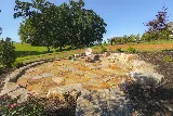 Thorpe Landscapes of Asheville photo 8