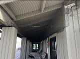 Delta Pest Services photo 5