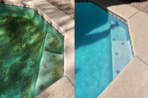 Kraken Pool Cleaning in Concord