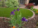 Cherry Bomb Landscaping photo 5