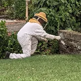Defense Pest Control photo 7