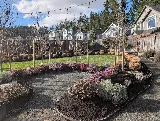TOMEI Landscaping Ltd photo 8