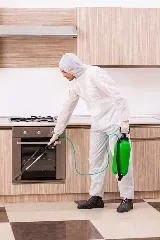 O'Connor Pest Control photo 3