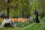 Quality Cut Lawn Care photo 3