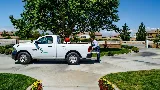 Care Pest Solutions photo 2