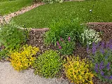 Cherry Bomb Landscaping photo 8