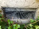 Killroy Pest Control in Campbell photo 7