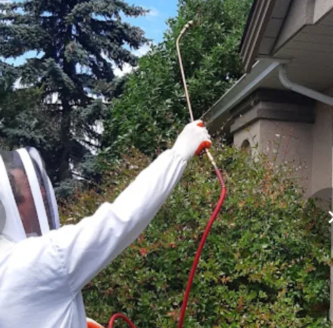 Owls Eye Pest Control in Nanaimo