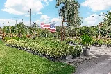 Delray Garden Center photo 8