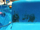Cost Plus Pools photo 5