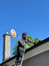 Icon pest control & wildlife removal in Richmond Hill photo 3