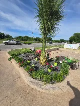 Blue J Landscape And Tree Service LLC photo 2