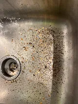 Provincial Pest Control Toronto photo 7