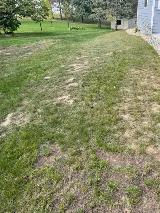 Luke's Landscaping photo 4