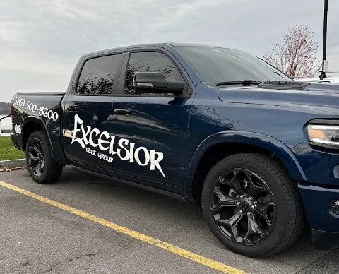 Excelsior Pest Group in Rochester