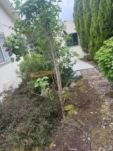 Family Landscaping LLC photo 5
