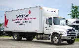 True North Movers