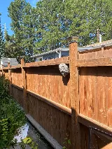 Trampas Pest Control Solutions Inc. photo 8
