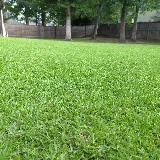 Lawn Reputation LLC photo 3