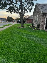 3DL Landscape & Lawn