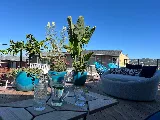 Madroño Landscape Design Studio photo 3