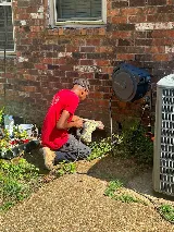 Mr. Rooter Plumbing of Memphis photo 3