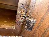 A.P. Pest Control photo 4
