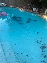 Brighter Pool Services photo 6