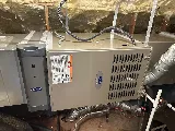 Berrett Pest Control photo 6