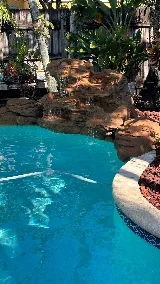 Jaleo Pool Services photo 5