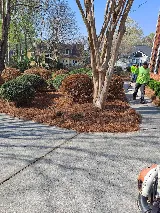 BNC Landscaping photo 6