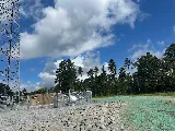 Deep South Hydroseeding photo 2