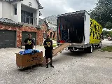 Wildcat Movers - Plano photo 8