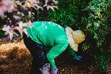Green Grounds Solutions photo 2